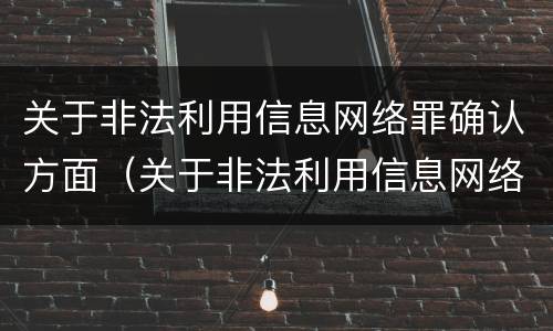 关于非法利用信息网络罪确认方面（关于非法利用信息网络罪确认方面的问题）