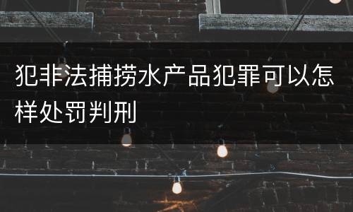 犯非法捕捞水产品犯罪可以怎样处罚判刑