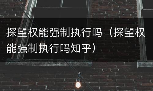 探望权能强制执行吗（探望权能强制执行吗知乎）
