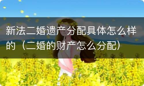 新法二婚遗产分配具体怎么样的（二婚的财产怎么分配）
