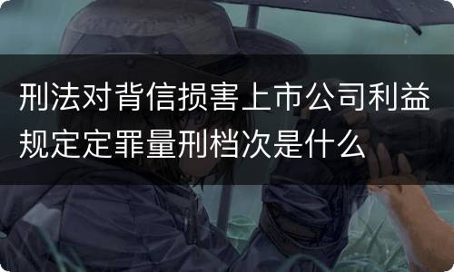 刑法对背信损害上市公司利益规定定罪量刑档次是什么