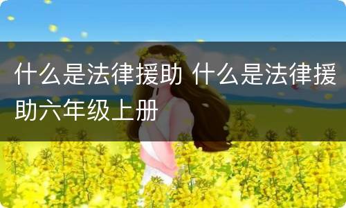 什么是法律援助 什么是法律援助六年级上册