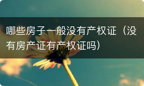 哪些房子一般没有产权证（没有房产证有产权证吗）