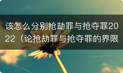 该怎么分别抢劫罪与抢夺罪2022（论抢劫罪与抢夺罪的界限）