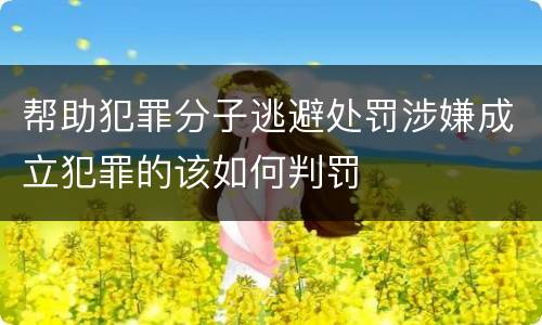 帮助犯罪分子逃避处罚涉嫌成立犯罪的该如何判罚