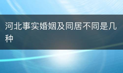 河北事实婚姻及同居不同是几种