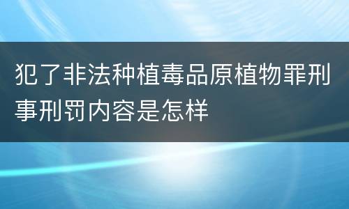 犯了非法种植毒品原植物罪刑事刑罚内容是怎样
