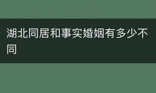 湖北同居和事实婚姻有多少不同