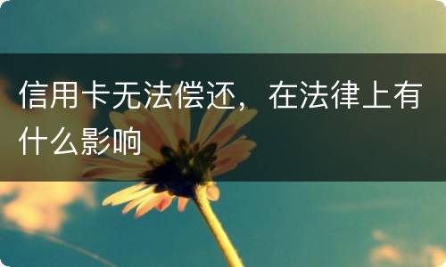 信用卡无法偿还，在法律上有什么影响