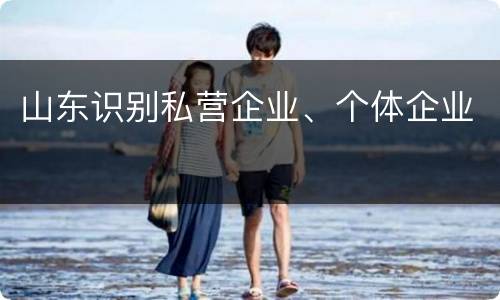 山东识别私营企业、个体企业