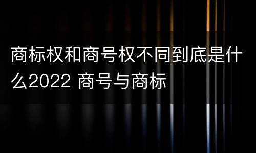 商标权和商号权不同到底是什么2022 商号与商标