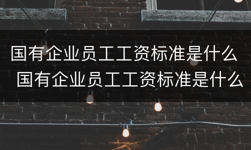 国有企业员工工资标准是什么 国有企业员工工资标准是什么意思