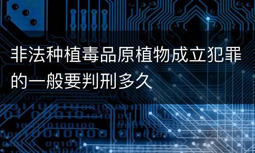 非法种植毒品原植物成立犯罪的一般要判刑多久