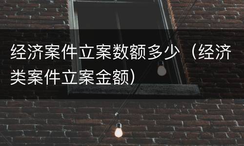 经济案件立案数额多少（经济类案件立案金额）