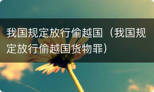我国规定放行偷越国（我国规定放行偷越国货物罪）