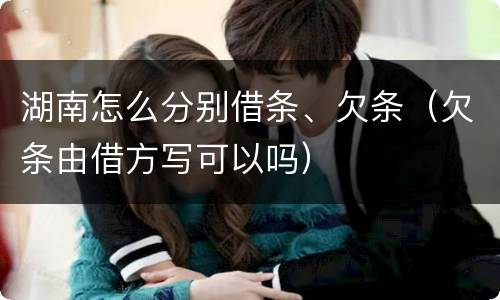 湖南怎么分别借条、欠条（欠条由借方写可以吗）