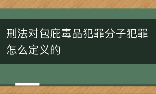 刑法对包庇毒品犯罪分子犯罪怎么定义的