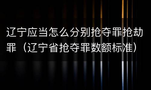 辽宁应当怎么分别抢夺罪抢劫罪（辽宁省抢夺罪数额标准）