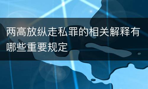 两高放纵走私罪的相关解释有哪些重要规定