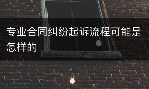 专业合同纠纷起诉流程可能是怎样的