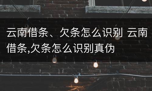 云南借条、欠条怎么识别 云南借条,欠条怎么识别真伪
