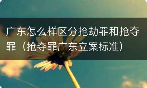 广东怎么样区分抢劫罪和抢夺罪（抢夺罪广东立案标准）