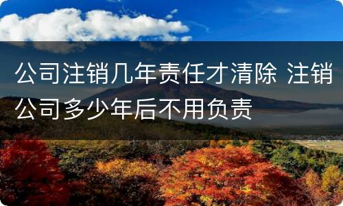 公司注销几年责任才清除 注销公司多少年后不用负责