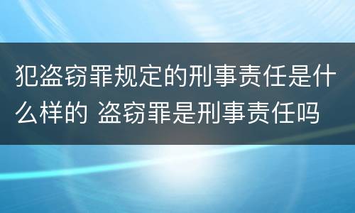 犯盗窃罪规定的刑事责任是什么样的 盗窃罪是刑事责任吗