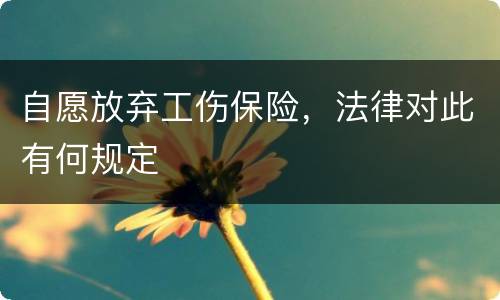 自愿放弃工伤保险，法律对此有何规定