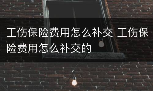 工伤保险费用怎么补交 工伤保险费用怎么补交的