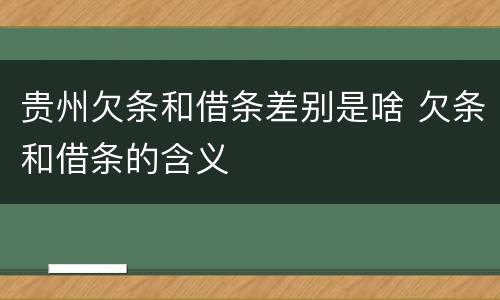 贵州欠条和借条差别是啥 欠条和借条的含义