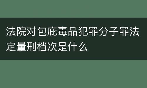 法院对包庇毒品犯罪分子罪法定量刑档次是什么