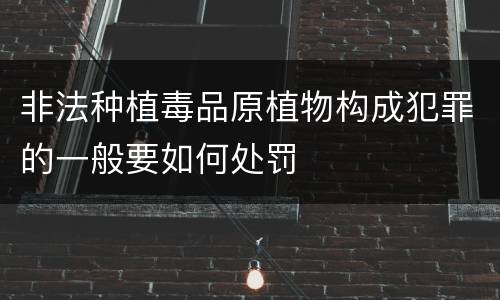 非法种植毒品原植物构成犯罪的一般要如何处罚