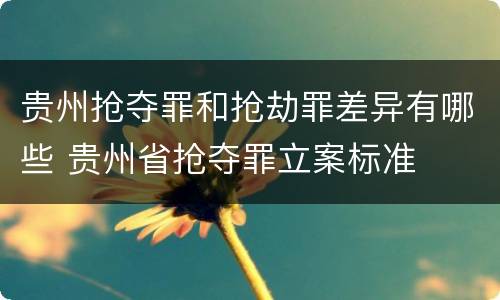 贵州抢夺罪和抢劫罪差异有哪些 贵州省抢夺罪立案标准