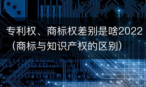 专利权、商标权差别是啥2022（商标与知识产权的区别）