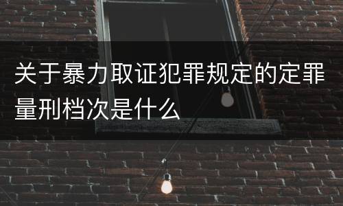 关于暴力取证犯罪规定的定罪量刑档次是什么