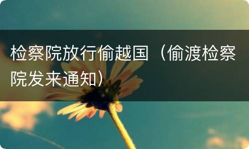 检察院放行偷越国（偷渡检察院发来通知）