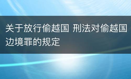 关于放行偷越国 刑法对偷越国边境罪的规定