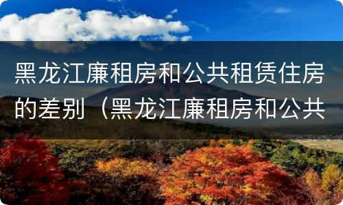 黑龙江廉租房和公共租赁住房的差别（黑龙江廉租房和公共租赁住房的差别大吗）