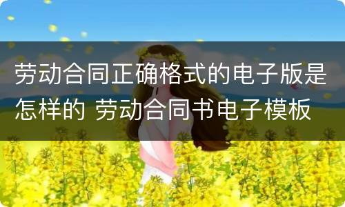劳动合同正确格式的电子版是怎样的 劳动合同书电子模板
