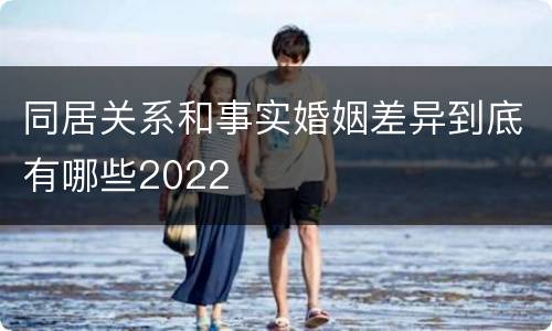 同居关系和事实婚姻差异到底有哪些2022