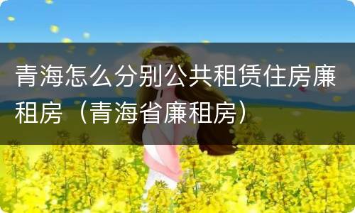 青海怎么分别公共租赁住房廉租房（青海省廉租房）