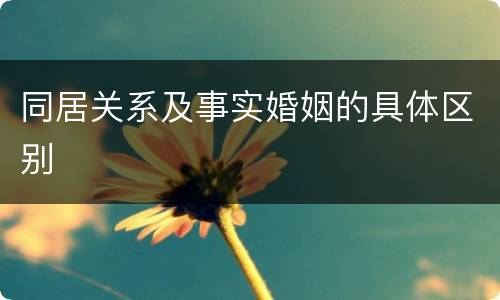 同居关系及事实婚姻的具体区别