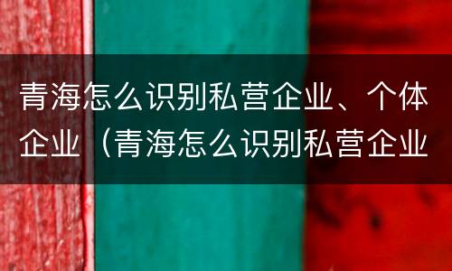 青海怎么识别私营企业、个体企业（青海怎么识别私营企业,个体企业呢）