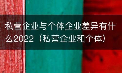 私营企业与个体企业差异有什么2022（私营企业和个体）