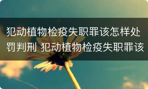 犯动植物检疫失职罪该怎样处罚判刑 犯动植物检疫失职罪该怎样处罚判刑多少年
