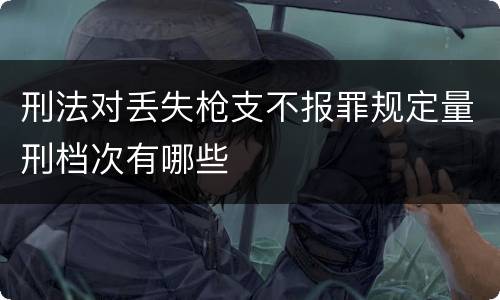 刑法对丢失枪支不报罪规定量刑档次有哪些