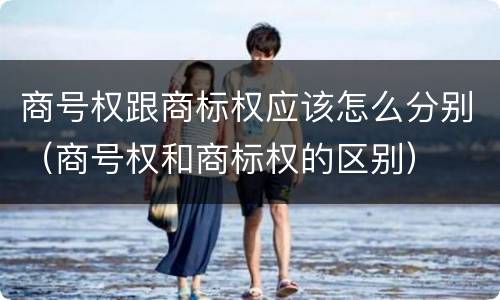 商号权跟商标权应该怎么分别（商号权和商标权的区别）
