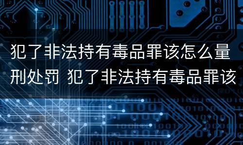 犯了非法持有毒品罪该怎么量刑处罚 犯了非法持有毒品罪该怎么量刑处罚标准