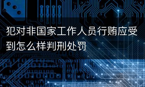 犯对非国家工作人员行贿应受到怎么样判刑处罚